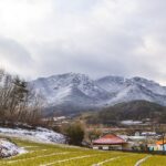 a snowy mountain range with a house and trees