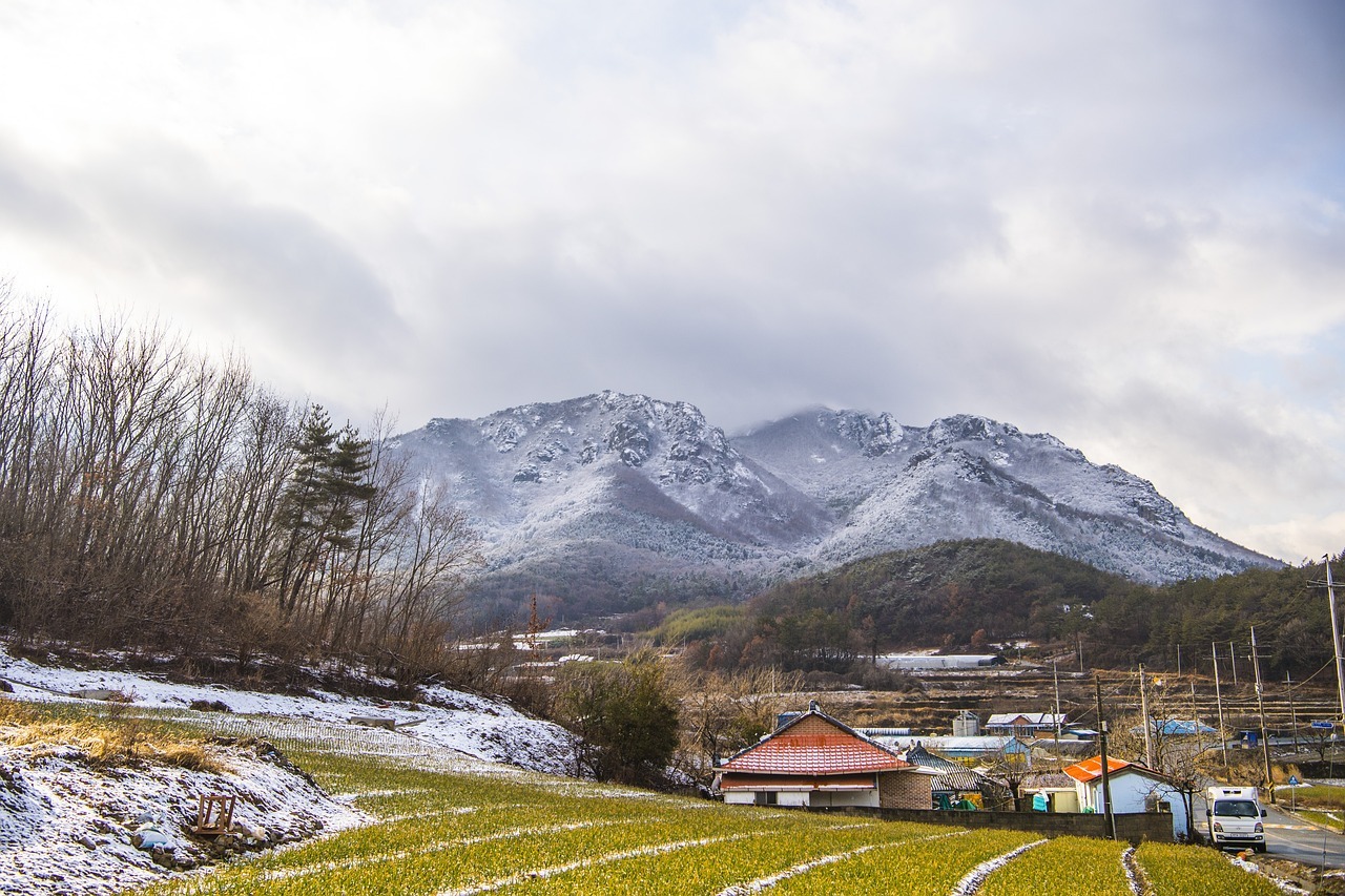 lion. a snowy mountain range with a house and trees